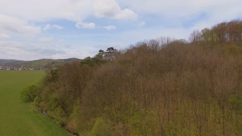 Aerial view. Many Storks flying in forest Stock Footage 78051032