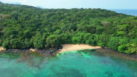Aerial view from Margarida beach with the forest at background. Ilha do Stock Footage 326561883