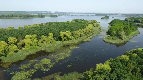 Aerial view of a marsh 動画素材 115640887