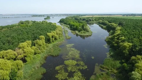 Aerial view of a marsh 動画素材 115640893