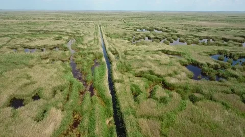 Aerial view of a marsh Stock Footage 115641053