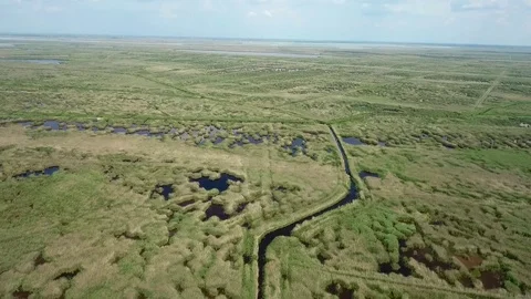 Aerial view of a marsh Stock Footage 115641060