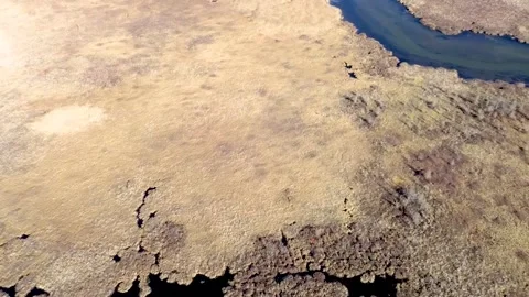 Aerial view of a marsh Stock Footage 292990624