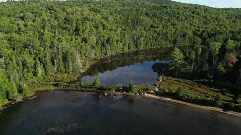 Aerial View of a Marsh Pond Hidden Within a Quebec Forest Stock-Footage 338326681