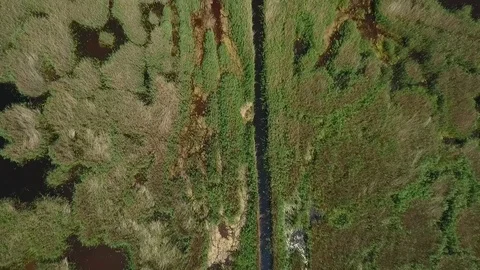 Aerial view of a marsh from top view Stock Footage 115641055