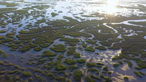 Aerial view of marshlands between Savannah and Tybee Island in USA. Stock Footage 121390802