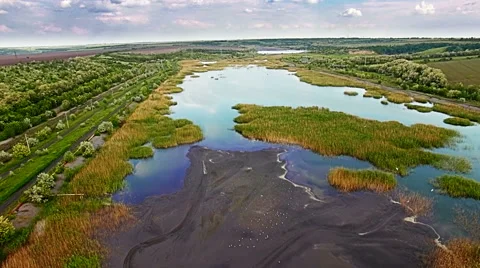 Aerial view of marshy river in the forest Stock Footage 63370936
