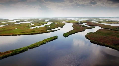 Aerial view of marshy river in the forest Stock Footage 64353165