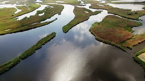 Aerial view of marshy river in the forest Stock Footage 64355761