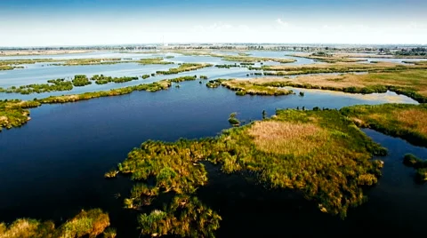 Aerial view of marshy river in the forest Stock Footage 64517194