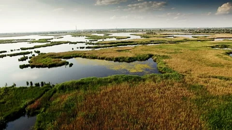 Aerial view of marshy river in the forest Stock Footage 64522368