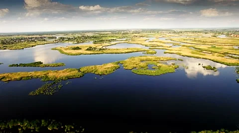 Aerial view of marshy river in the forest Stock Footage 64525317