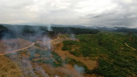 Aerial view. Mass deforestation and burn... | Stock Video | Pond5