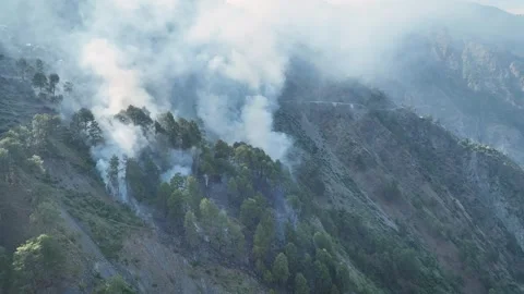 Aerial view of massive forest fire smoke in the Himalayan mountains. Stock Footage 337614848