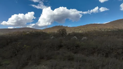 Aerial view of a massive mountain covered in dense leafless forest during spring Video stock 332664322