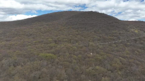 Aerial view of a massive mountain covered in dense leafless forest during spring Video stock 332664496