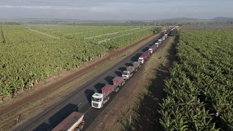 Aerial view of a massive number of cargo trucks stuck in a long queue on a Stock Footage 278449340
