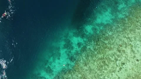 Aerial view of a massive sardine run and coral reef Stock Footage 342575846
