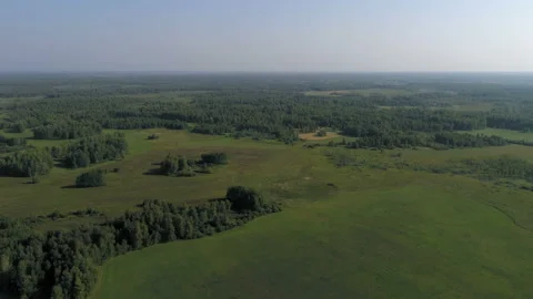 Aerial view of the meadow and forest 스톡 동영상 92999208