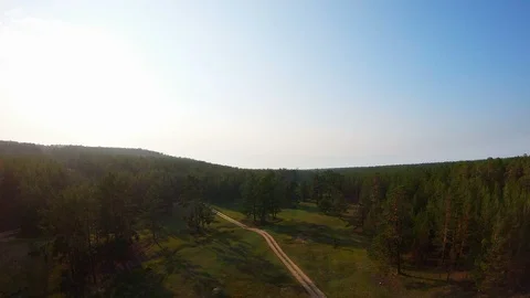 Aerial view of the meadow with cows, forest and country road Stock Footage 110886202