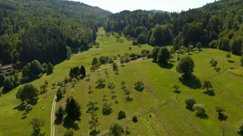 Aerial View of Meadow Field with Trees near the Black Forest  Vidéo 129337092