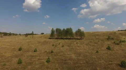 Aerial view of meadow Stock Footage 79619432