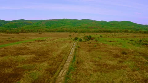 Aerial view on meadow in highlands Stock Footage 132219150