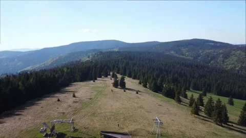 Aerial view from A meadow in the middle of a dense spruce forest in a spring Stock Footage 201164645