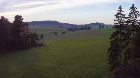 Aerial view of a meadow with trees at sunset Stock Footage 165165723