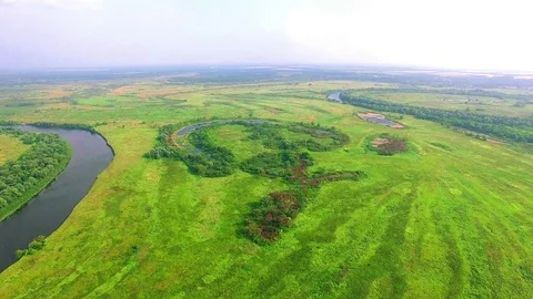 Aerial view of meadows Stock Footage 101300684