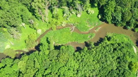 Aerial view of the meanders of the river in the middle of the forest Stock Footage 148039816