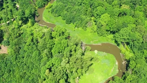 Aerial view of the meanders of the river in the middle of the forest. Video stock 148040012