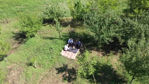 Aerial view of men drinking tea and resting in orchard Stock Footage 293946441