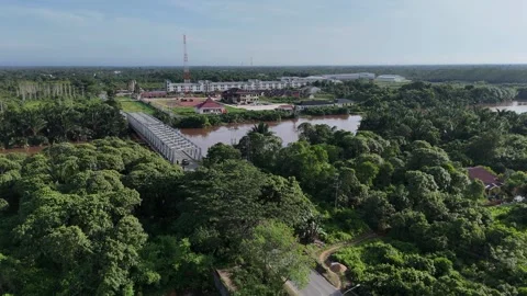 Aerial View of Metal Bridge Spanning Kapuas River with Dense Forest Video stock 334169279