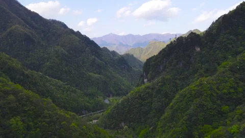 Aerial View of Midsummer Green Deep Canyon Mountain Road in Shennongjia Hubei Video stock 337943190