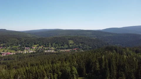 Aerial view of a midsummer mountain woods Stock Footage 161109528