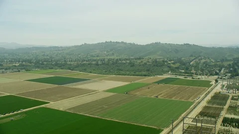 Aerial view migrant pickers in fields harvesting crops Stock Footage 91549184