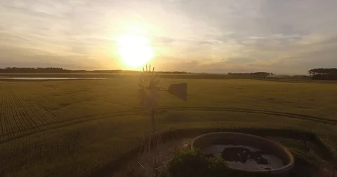 Aerial view of mill in wheat field 動画素材 116180900