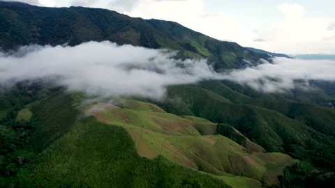Aerial view of mist, cloud and fog hanging over a lush tropical rainforest Stock Footage 218999205