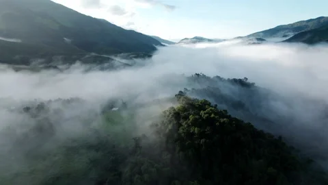 Aerial view of mist, cloud and fog hanging over a lush tropical rainforest Stock Footage 218999255