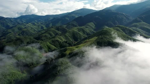 Aerial view of mist, cloud and fog hanging over a lush tropical rainforest Stock Footage 218999579