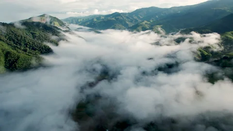 Aerial view of mist, cloud and fog hanging over a lush tropical rainforest Stock Footage 218999619