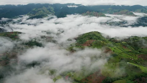 Aerial view of mist, cloud and fog hanging over a lush tropical rainforest Stock Footage 218999699