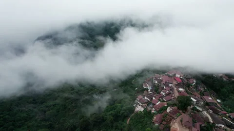 Aerial view of mist, cloud and fog hanging over a lush tropical rainforest Stock Footage 236340965
