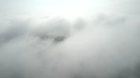 Aerial view of mist, cloud and fog hanging over a lush tropical rainforest Video stock 236342038