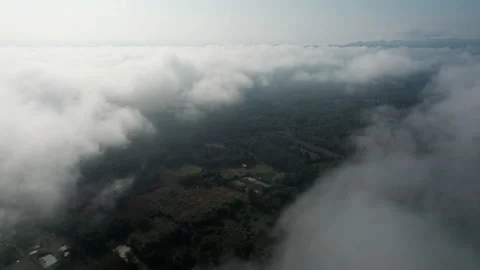 Aerial view of mist, cloud and fog hanging over a lush tropical rainforest Stock Footage 236342125