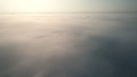 Aerial view of mist, cloud and fog hanging over a lush tropical rainforest Stock Footage 236342384