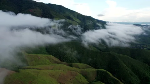 Aerial view of mist, cloud and fog hanging over a lush tropical rainforest Video stock 236342460