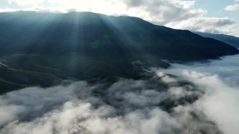 Aerial view of mist, cloud and fog hanging over a lush tropical rainforest Stock Footage 236342550