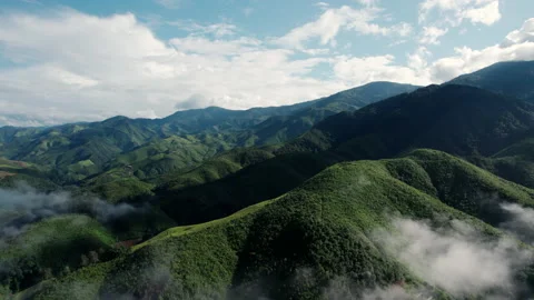 Aerial view of mist, cloud and fog hanging over a lush tropical rainforest Stock Footage 236342583